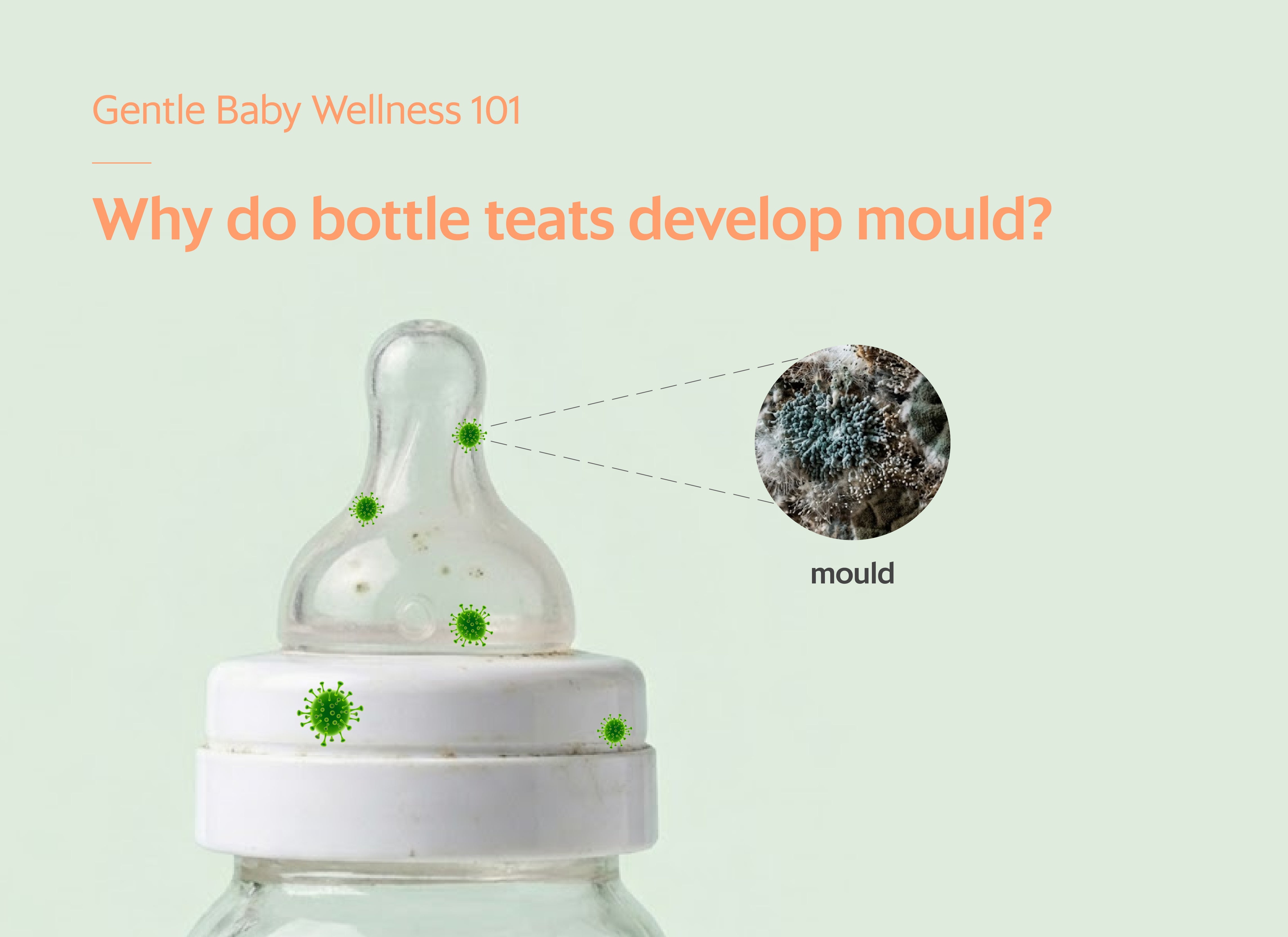 Gentle Baby Wellness 101: Why do Bottle Teats Develop Mould?