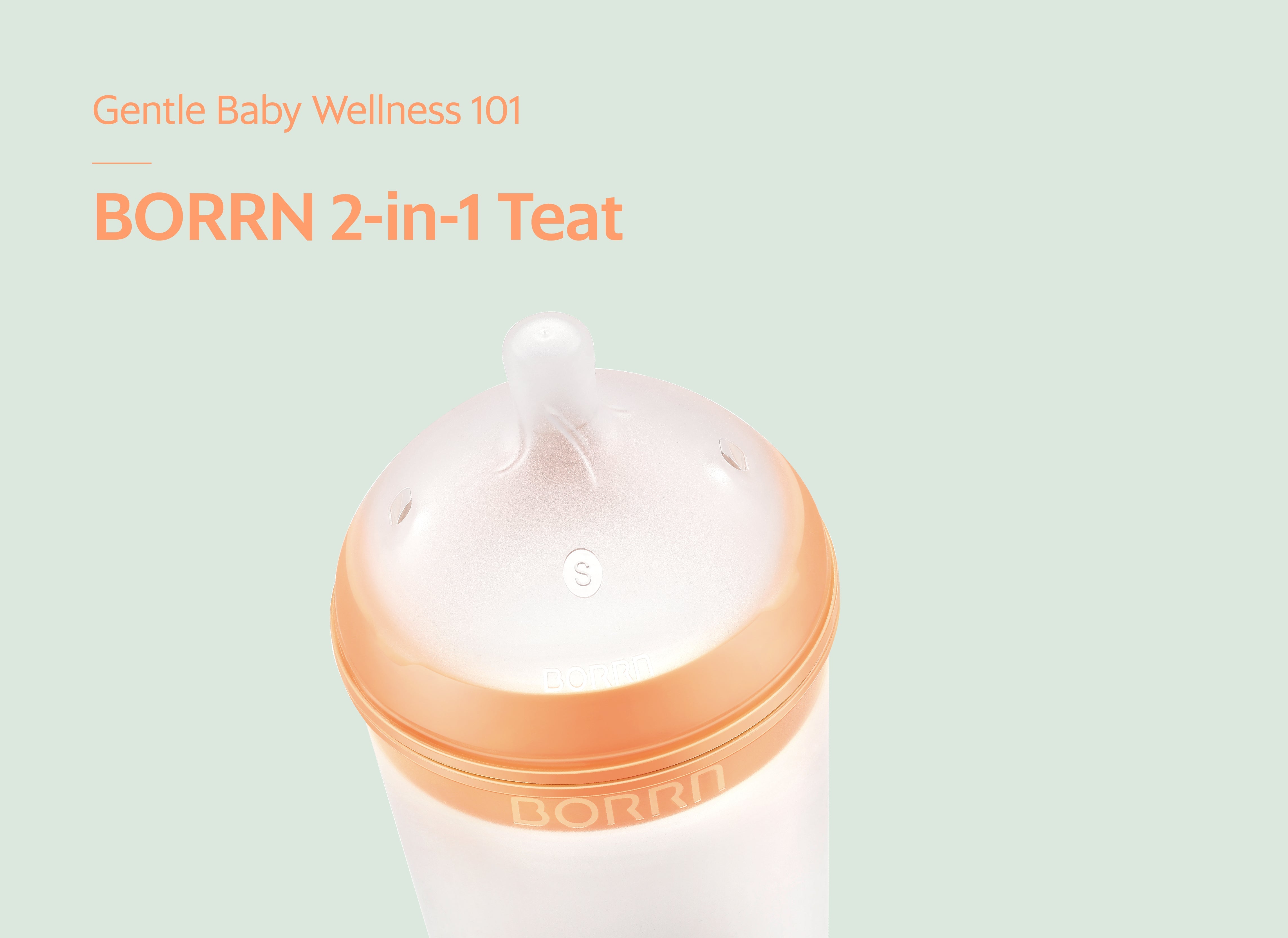 Gentle Baby Wellness 101: BORRN 2-in-1 Teat