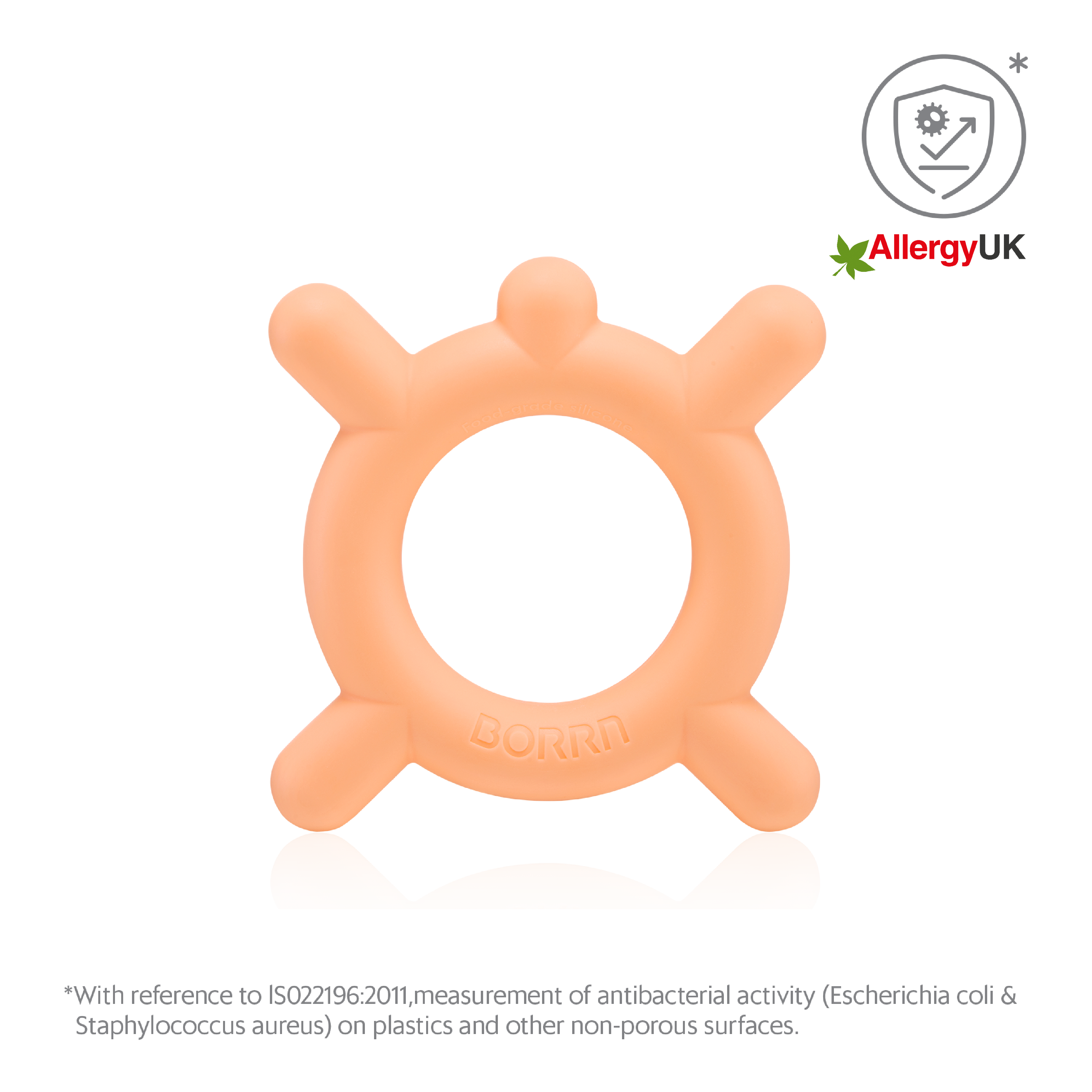 BORRN Animal Teether - Turtle