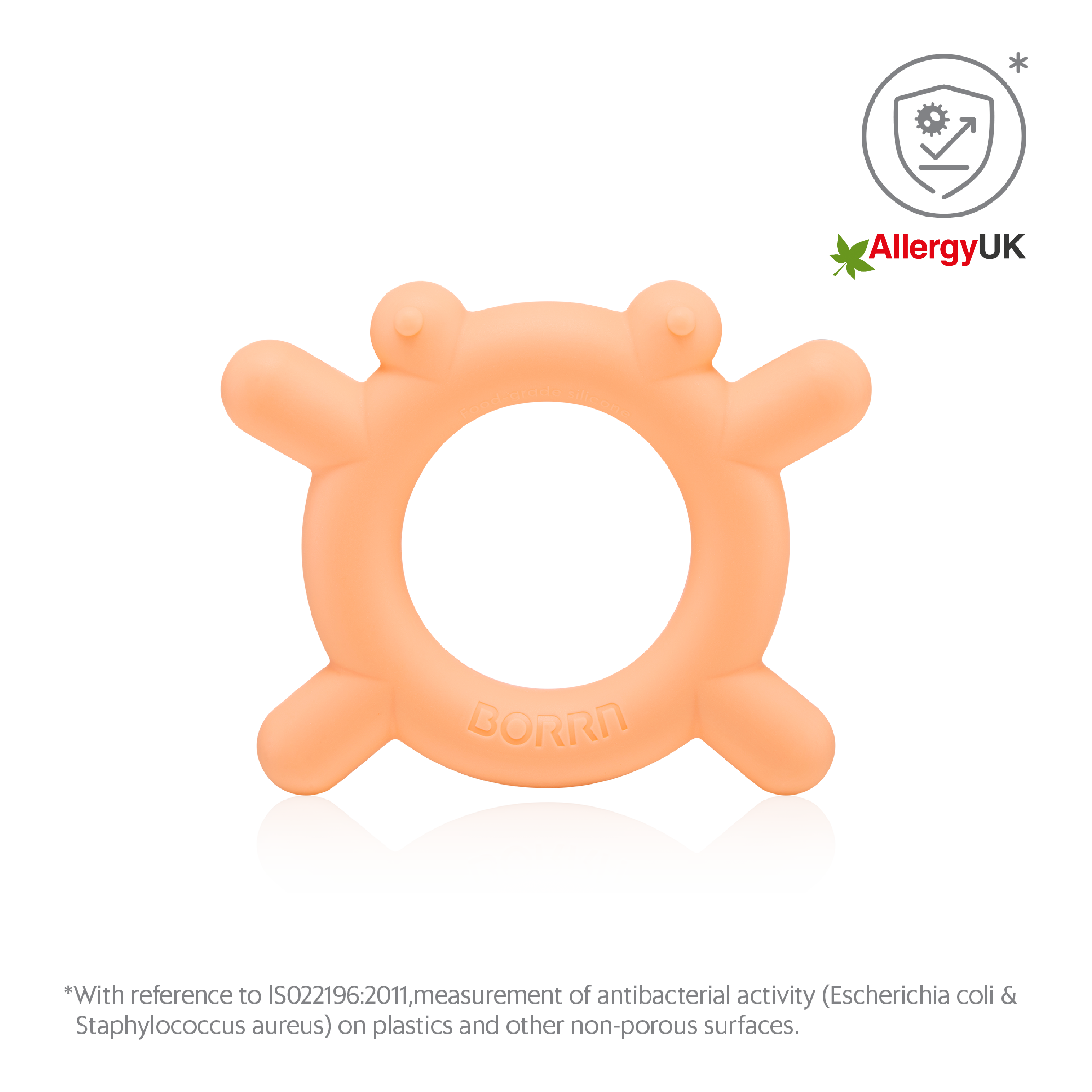 BORRN Animal Teether - Frog