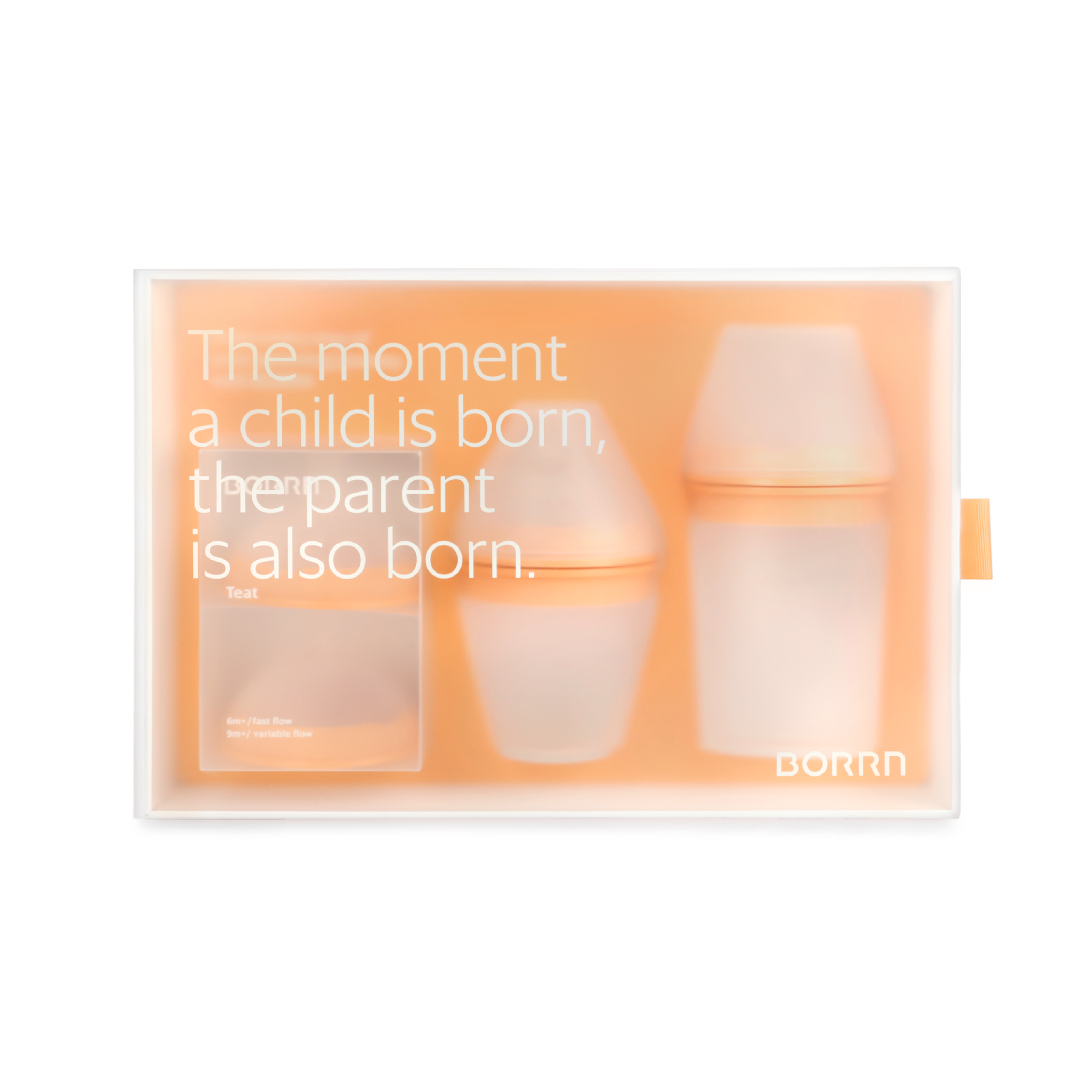 BORRN GRSR Germ-repellent Feeding Bottle Gift Set